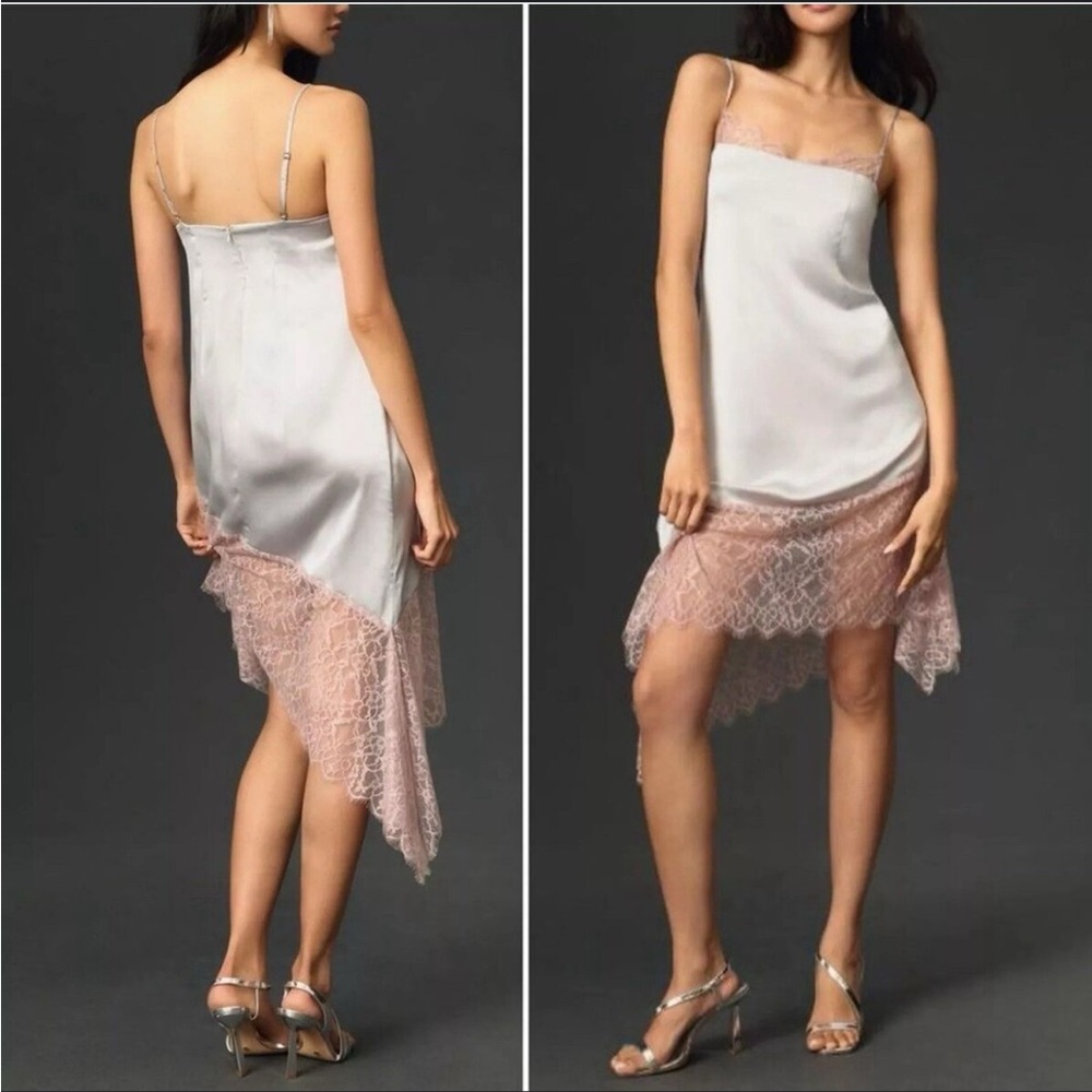 Anthropologie size 10 Elegant Pink and Gray Lace Slip Dress NWT